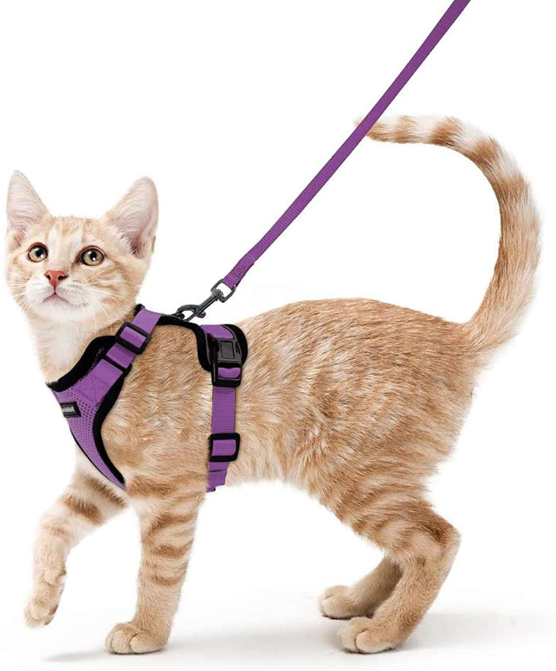 rabbitgoo Cat Harness and Leash for Walking, Escape Proof Soft Adjustable Vest Harnesses for Cats, Easy Control Breathable Jacket, Black, XS Animals & Pet Supplies > Pet Supplies > Cat Supplies > Cat Apparel GLOBEGOU CO.,LTD Purple S 