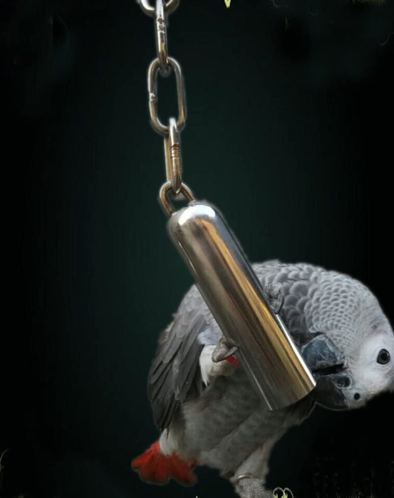 Stainless Steel Bell Toy for Birds,Heavy Duty Bird Cage Toys for Parrots, African Greys, Mini Macaws, Small Cockatoos, Cockatiels & More (Small or Large) Animals & Pet Supplies > Pet Supplies > Bird Supplies > Bird Toys yoyoung   