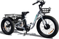 Emojo Electric Tricycle/Fat Tire Caddy Pro Trike, 500W 48V Hybrid Bicycle with Hydraulic Brake, Oversize Rear Cargo and Front Basket for Heavy-Duty Carrying or Delivery Sporting Goods > Outdoor Recreation > Cycling > Bicycles Zoom Sports Corp Caddy  