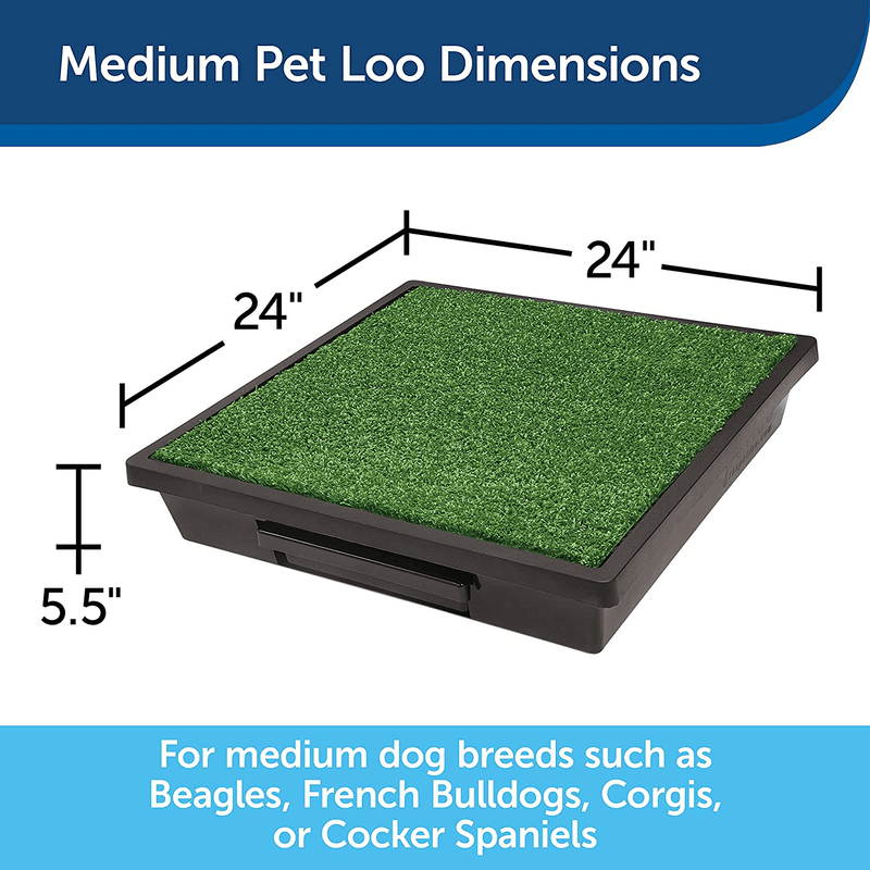 PetSafe Pet Loo Portable Outdoor or Indoor Dog Potty - Dog Grass Pad with Tray - Alternative to Puppy Pads - Easy to Clean Dog Potty Grass, Absorbent Wee Sponge, Pee Pod - Small, Medium, Large Animals & Pet Supplies > Pet Supplies > Dog Supplies > Dog Diaper Pads & Liners PetSafe   