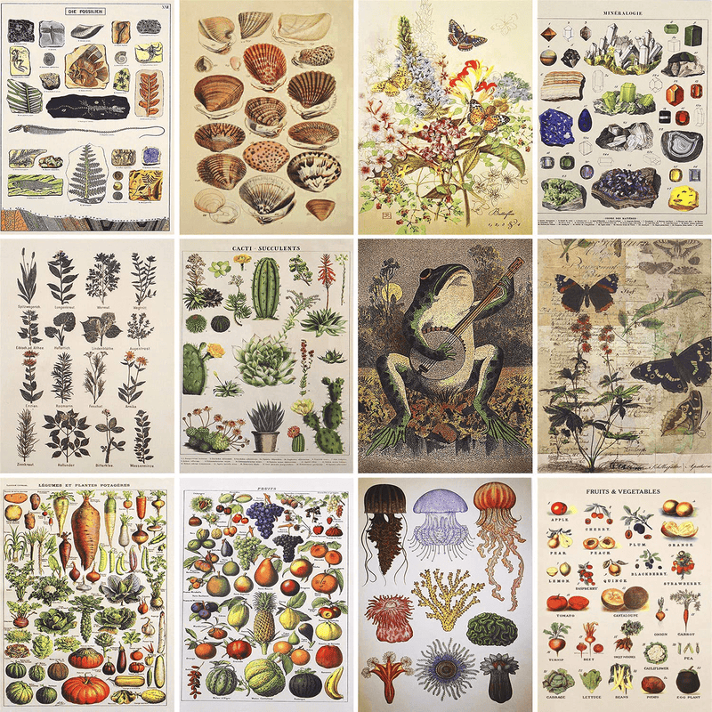 Vintage Wall Collage Kit Aesthetic Pictures Cottagecore Botanical Wall Posters for Room Decor Nature Illustration Boho Trendy Indie Wall Photo Prints for Girls Teens Bedroom School Dorm Wall Art 70PCS Home & Garden > Decor > Artwork > Posters, Prints, & Visual Artwork ERPIMA Butterfly  