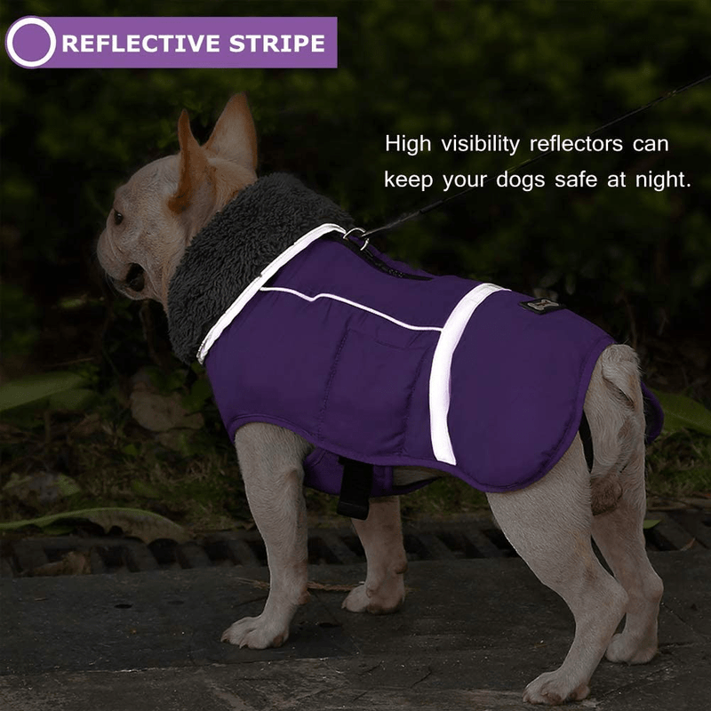 Warm Dog Coat Reflective Dog Winter Jacket，Waterproof Windproof Dog Turtleneck Clothes for Cold Weather, Thicken Fleece Lining Pet Outfit，Adjustable Pet Vest Apparel for Small Medium Large Dogs Animals & Pet Supplies > Pet Supplies > Dog Supplies > Dog Apparel QBLEEV   