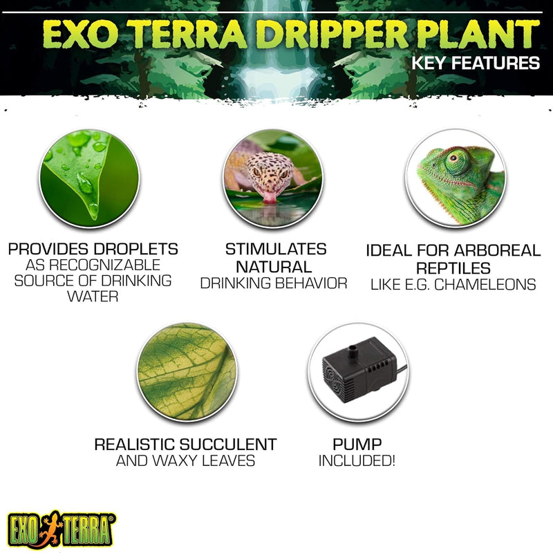 Exo Terra Dripper Plant, Large