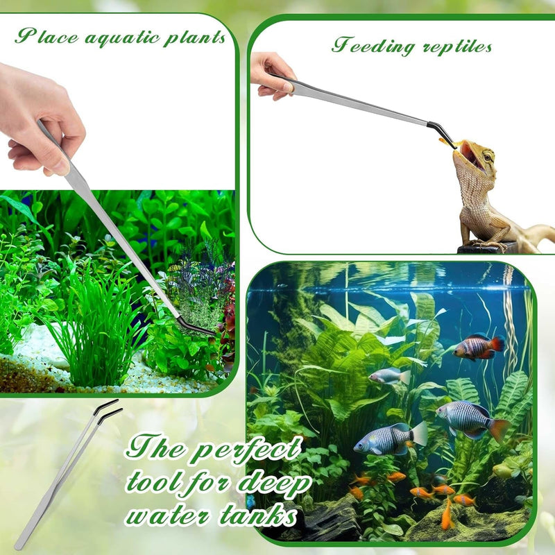 4 Pcs Bearded Dragon Food Bowl Set Reptile Snake Feeding Accessories Stainless Steel Reptile Feeding Tongs with Rubber Reptile Feeding Clamp for Bearded Dragon Lizard