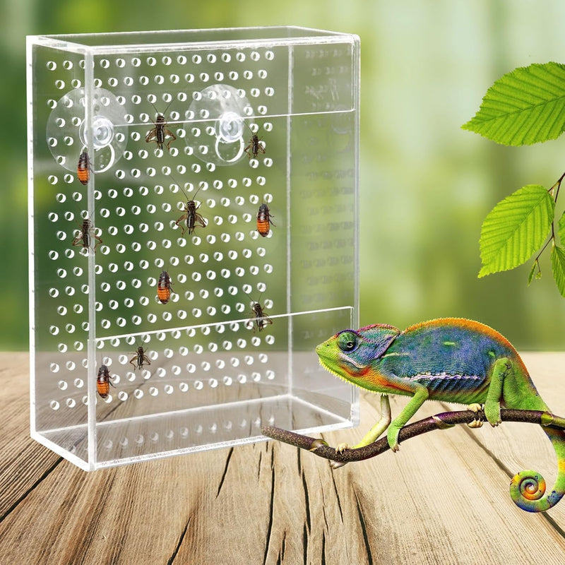 Bearded Dragon Feeder, Chameleon Bug Bowl, Transparentk Acrylic Reptile Feeder Box, Wall-Mounted Insect Feeder with Suction Cups, Tank and Aquarium Accessories for Lizard Bearded Dragon Gecko Frog