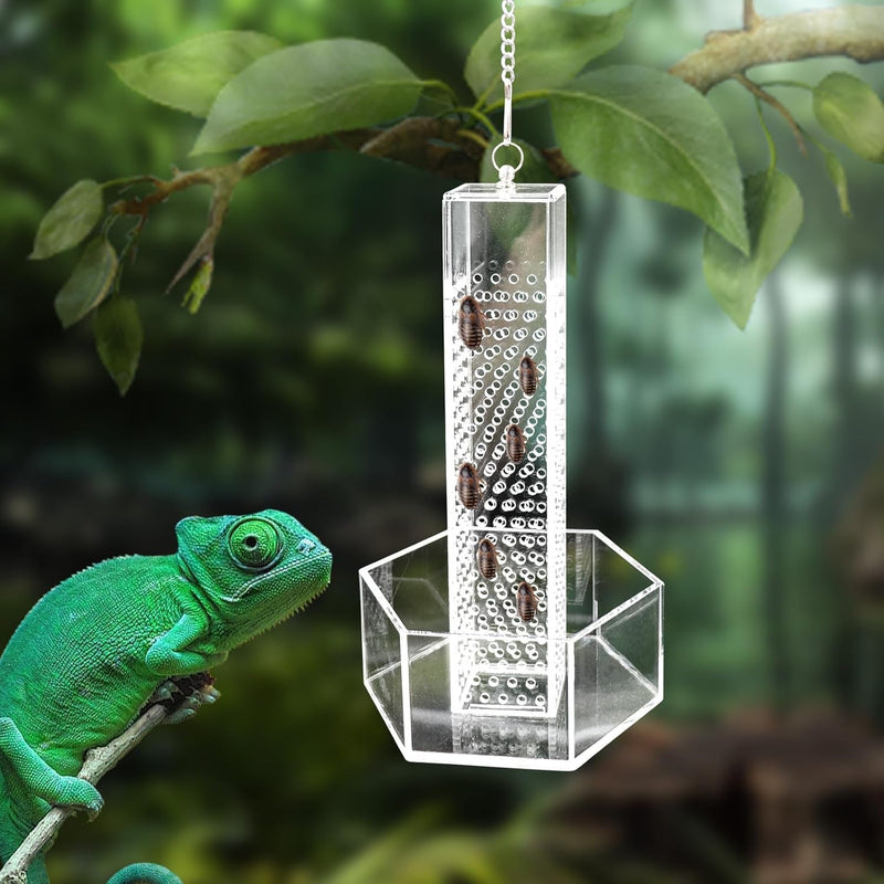 Chameleon Feeding Bowl, Hanging Transparent Acrylic Bearded Dragon Feeder with Column for Insects to Climb, Reptile Tank Aquarium Accessories for Lizard Lguana Gecko Toad Frog