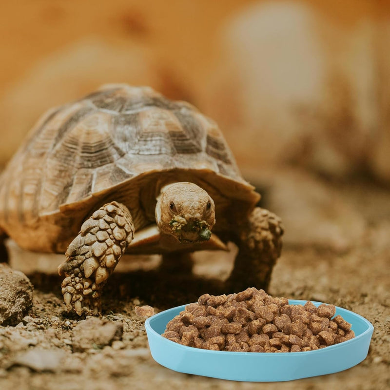 4 Pack Small Reptile Food Dish Bowl, Plastic Worm Water Dish Plate for Lizard Gecko Bearded Dragon Chameleon 4" W X 4" D X 0.5" H, Blue and Yellow