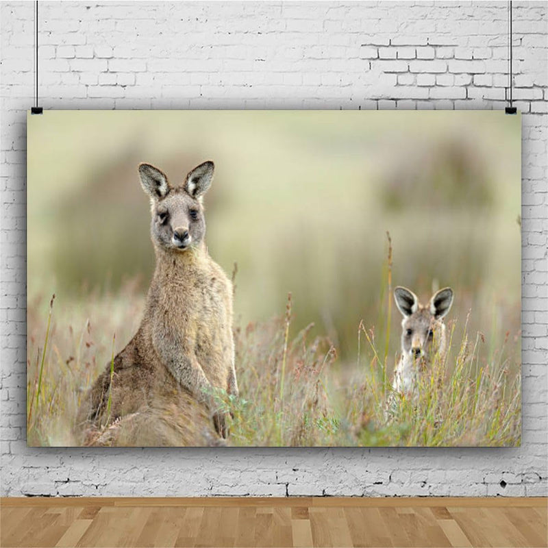 Eastern Grey Kangaroo Photography Backdrop Photographer Portrait Banner Photo Studio Photobooth Prop Photography Background Decoration Supplies 7×5Ft