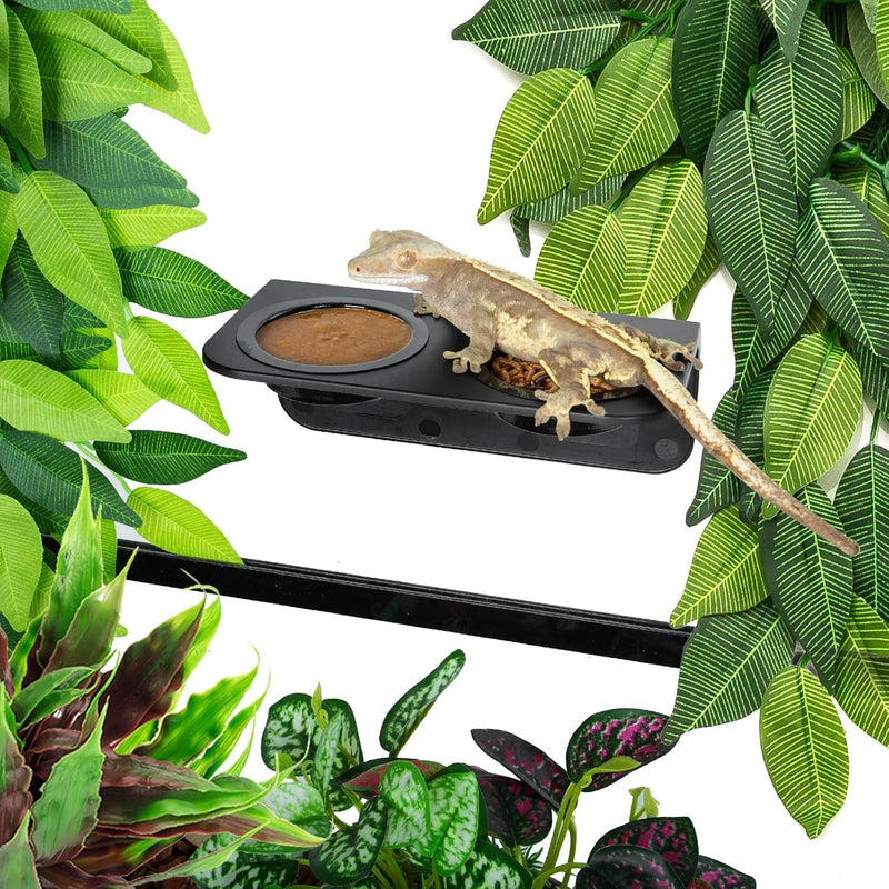 Gecko Feeding Ledge, Foldable Reptile Feeder Ledge with 6Pcs Plastics Cups, Reptile Suction Food Water Dish, Terrarium Bowl Tank Ledge Accessories for Gecko, Chameleon, Iguana, Lizard