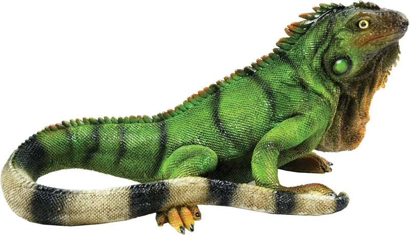 BFG Supply Iguana S Reptile Collection by Michael Carr Designs - Outdoor Lizard Figurine for Gardens, Patios and Lawns (80059), Green, Medium