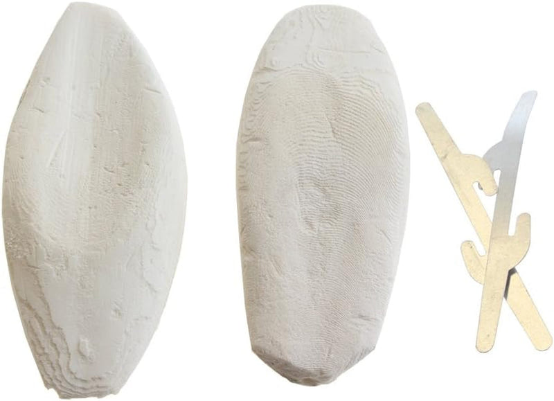 Emours Natural Cuttlefish Bone for Reptiles, Tortoises, Tortoise, Snails, Birds and Small Animals, 4-5 Inch, Twin Pack