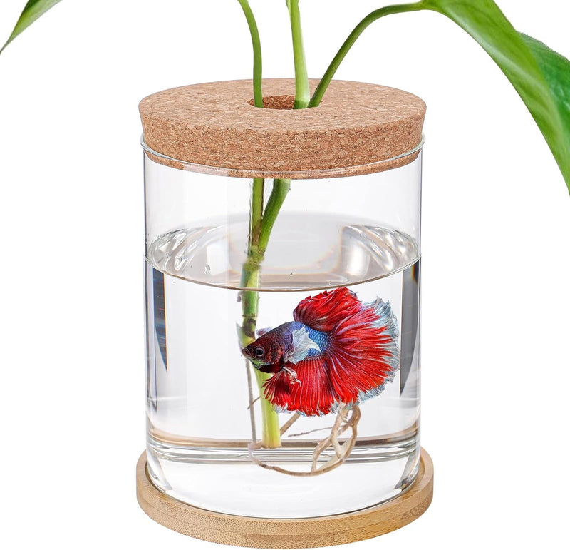 Betta Fish Tank - Mini Bowls for Beta Fish, Aquaponic Fish Tank Clear Hydroponic Plant Terrarium for Promoted Ecosphere Aquatic Ecosystem - 4.3" X 6" Drop-Shaped