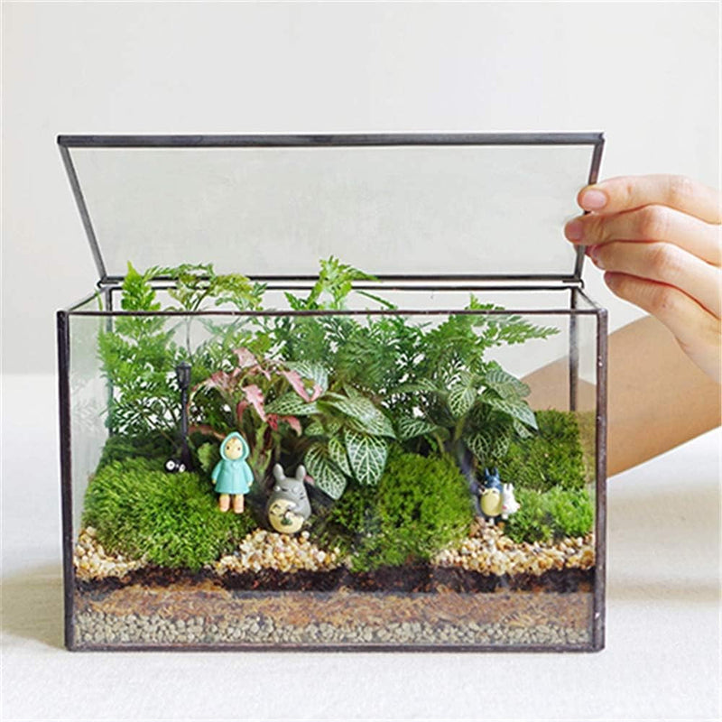 Geometric Plants Terrarium Glass Irregular Terrarium Planter Tabletop Black Opened Container Pot for Cacti Succulents Glass Planter Terrarium for Home, Garden, Office,6.5X5.7X9.8'' No Door