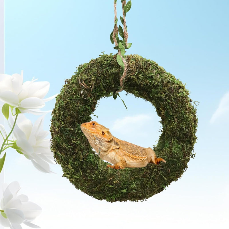 Bearded Dragon Swing Toy, Hanging Artificial Greenery Reptile Ring Hammock, Tank Aquarium Decoration Accessories, Suitable for Lizard Chameleon Bearded Dragon - 7.5 Inch in Diameter