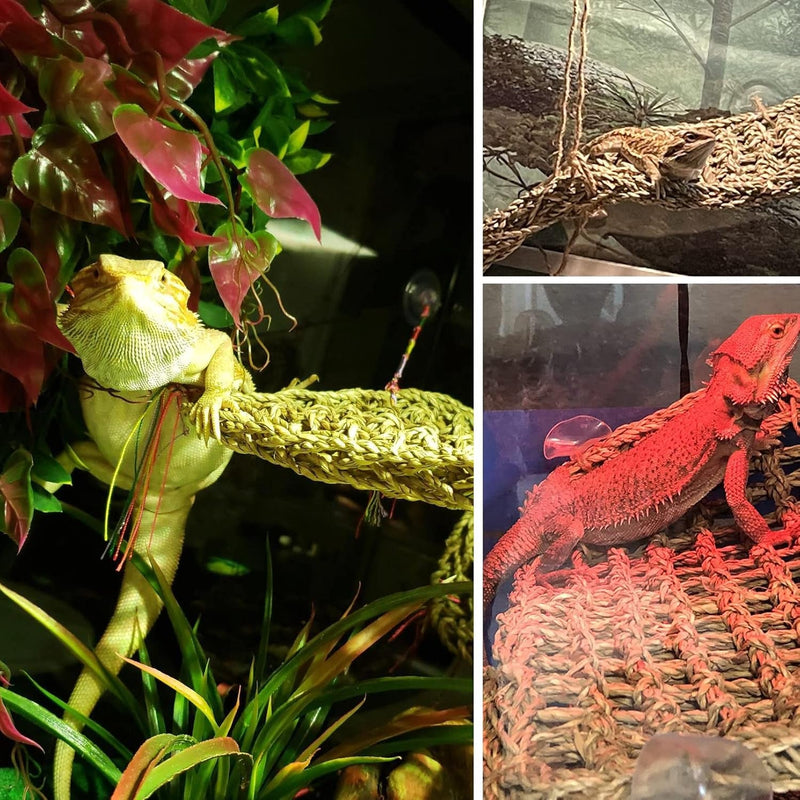 Bearded Dragon Hammock,Reptile Lounger Lizard Natural Seagrass Habitat Decor Reptiles Tank Hanging Plants Jungle Climber Vines Flexible Leaves Accessories for Lizards Chameleon Gecko Corn Snakes