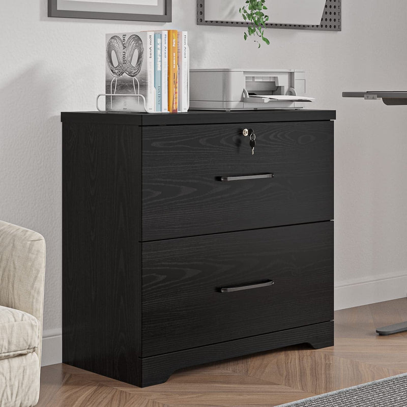2 Drawer Wood Lateral File Cabinet with Lock, Home Office Storage Filing Cabinet with Anti-Tilt Mechanism with 8 Hanging Bars for Letter/Legal Size Heightened Drawer Side (Black) Home & Garden > Household Supplies > Storage & Organization Panana   
