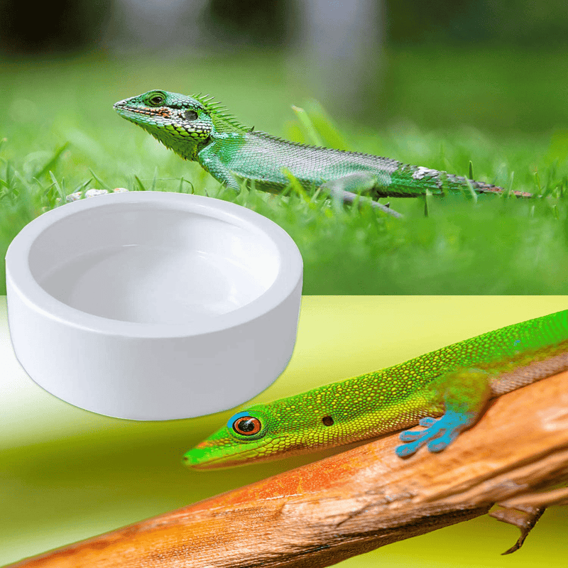 2 Pack Worm Dish Reptile Food Bowl Bearded Dragon Ceramic Bowl with Feeding Tongs (White-Large) Animals & Pet Supplies > Pet Supplies > Reptile & Amphibian Supplies > Reptile & Amphibian Habitats WYJTPONE   