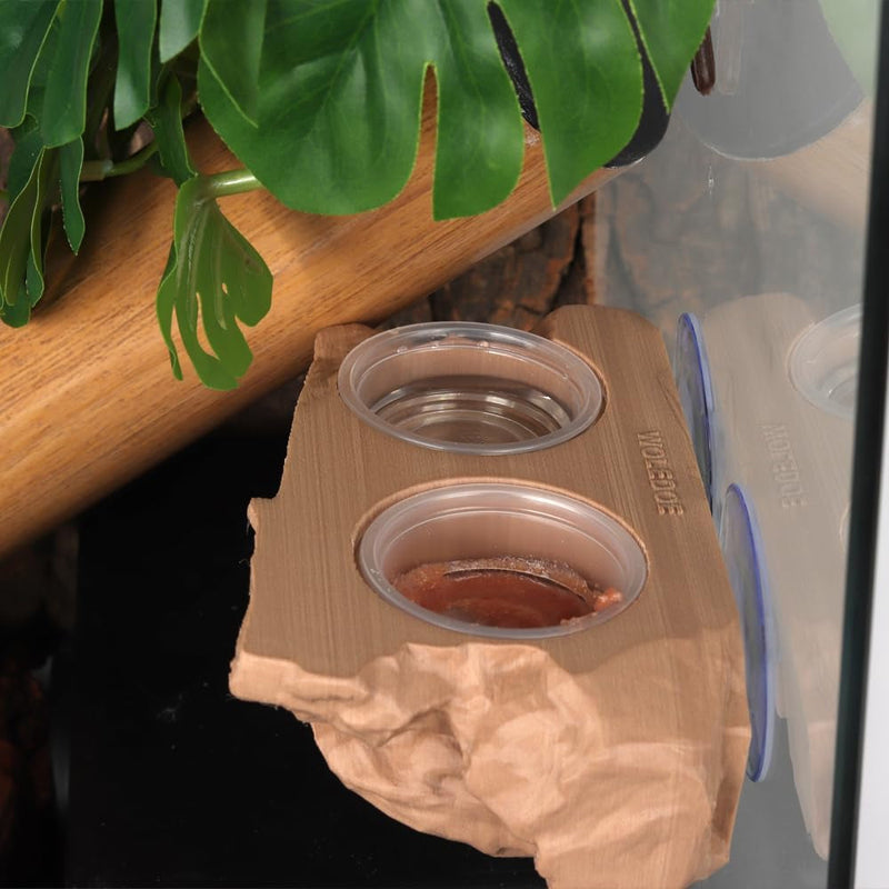 Crested Gecko Feeding Ledge with 10Pcs 0.5Oz Food Dish, Suction Cup Reptile Feeder Fit Chameleon Lguana Lizards