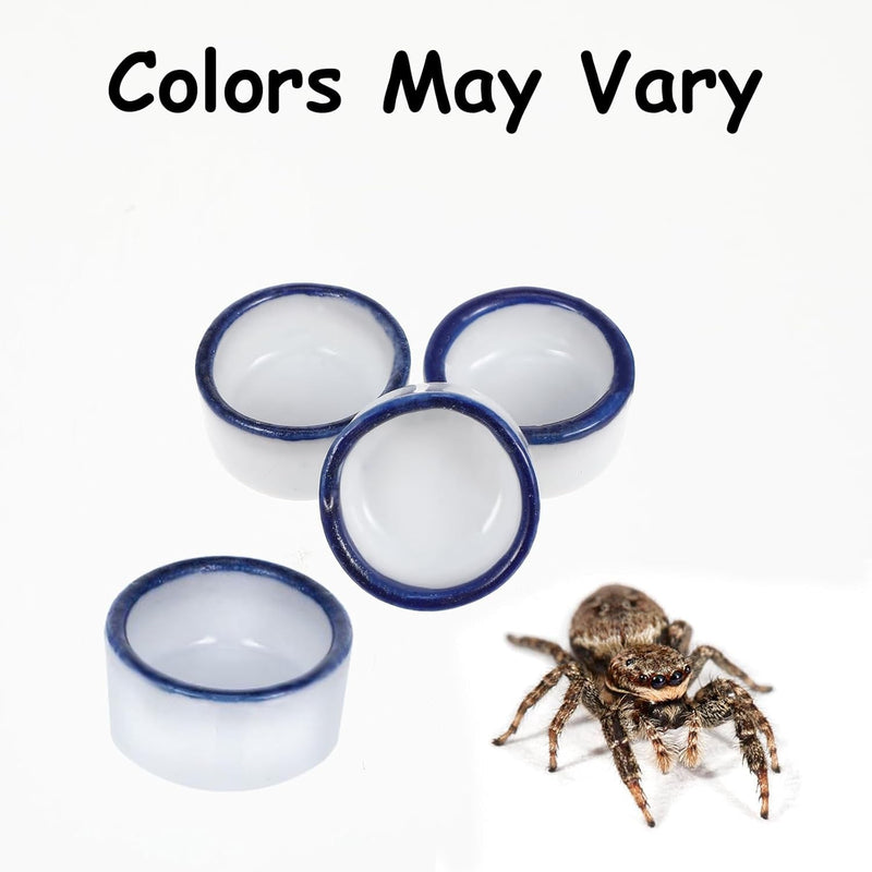 6 Pcs Spider Mini Water Bowl Tarantula Micro Ceramic Water Dish for Spider Tarantula Millipede Tiny Reptile Scorpion Cricket Snail Manti Bugs