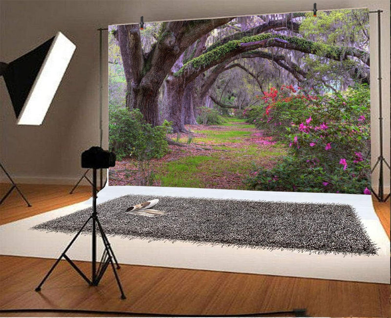 10X8Ft Garden Park Scenery Backdrop for Photography Old Tree Lined Path Purple Flowers Beautiful Forest Jungle Backdrop for Party Kids Baby Wedding Portrait Outdoor Party Photoshoot Studio Props