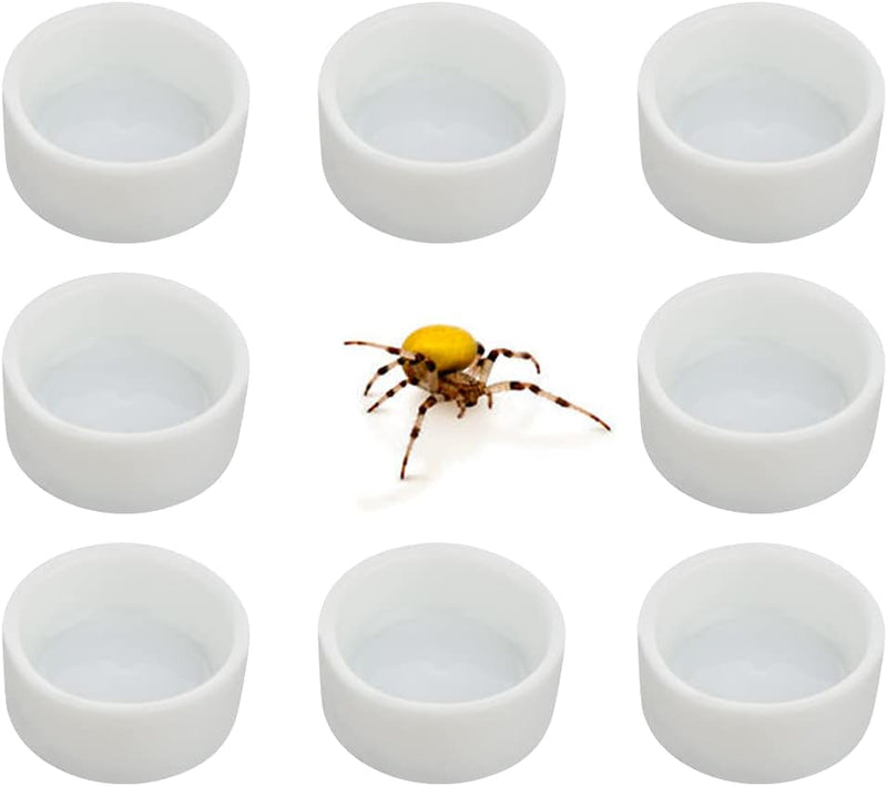 8 Pcs Spider Micro Ceramic Water Bowl Tarantula Mini Dish for Tarantula Spider Scorpion Cricket Snail Manti Millipede Tiny Bugs (White)