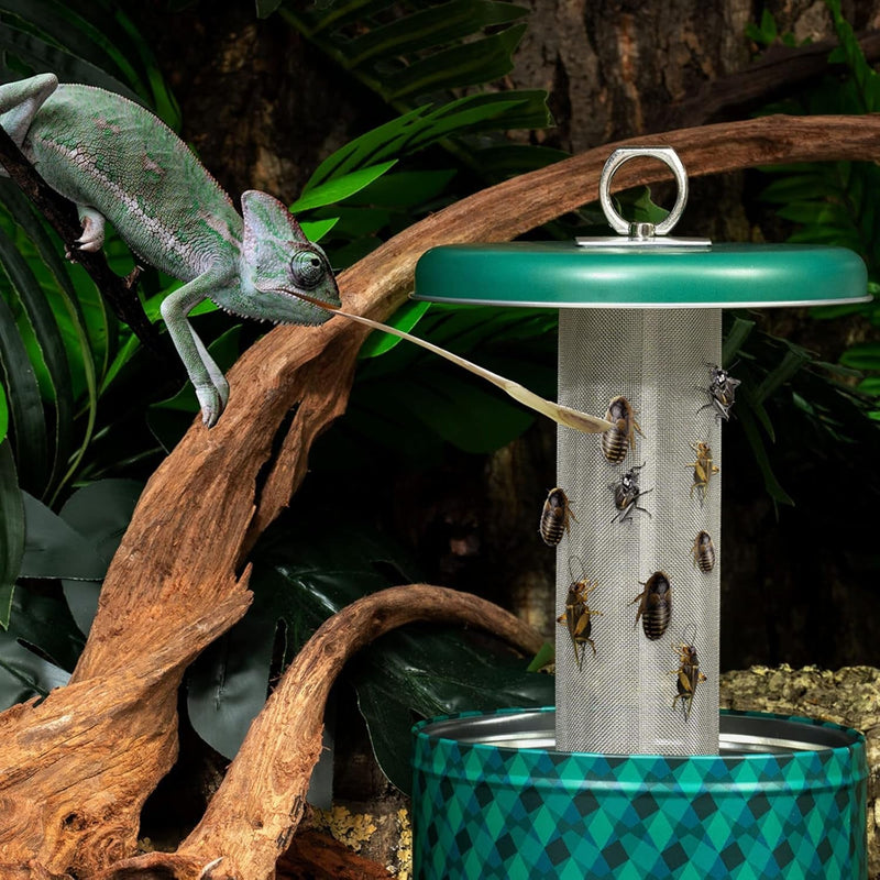 Chameleon Feeding Bowl,Hookable Lizard Feeder with Metal Mesh Column for Prey to Climb and Move,Suitable for Lizard, Iguana, Gecko,Bearded Dragon