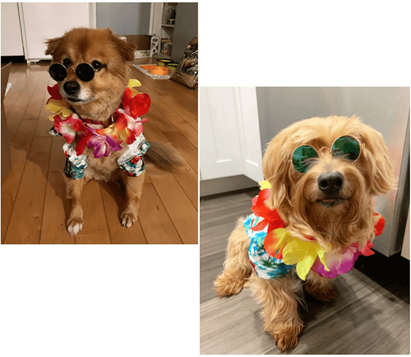 3 Pieces Pet Dog Hawaiian Costume, Includes Puppy Dog'S Cool T-Shirts Summer Clothes, Funny Cute Dog Retro Fashion Sunglasses and a Colorful Wreath for Small to Medium Dog