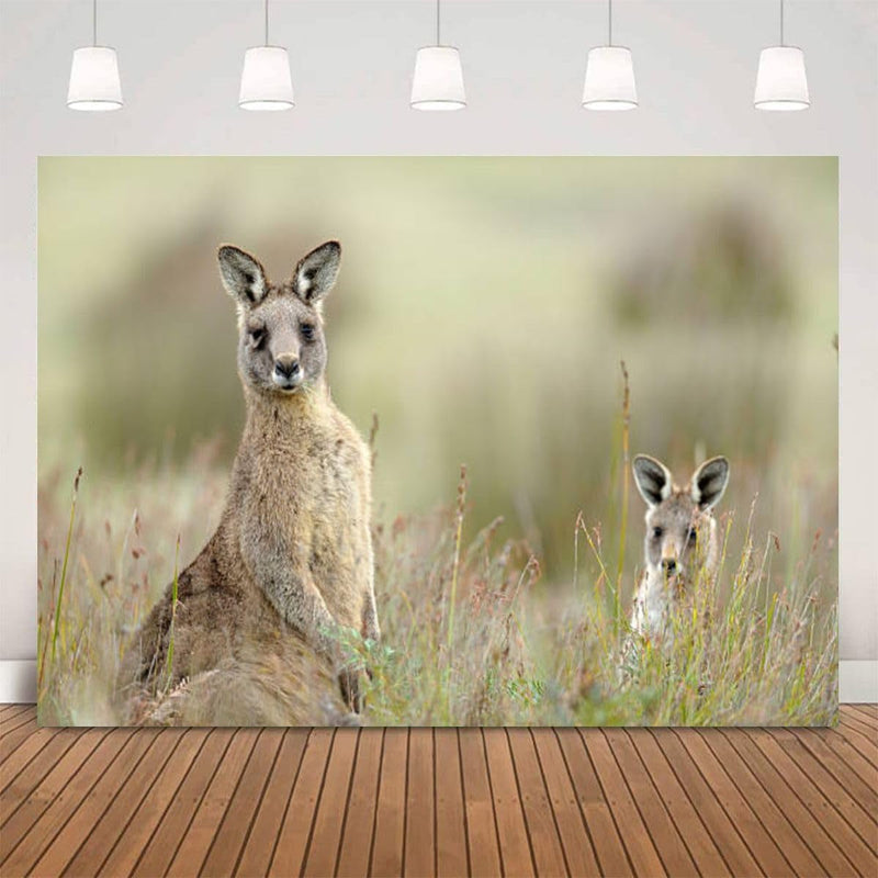 Eastern Grey Kangaroo Photography Backdrop Photographer Portrait Banner Photo Studio Photobooth Prop Photography Background Decoration Supplies 7×5Ft