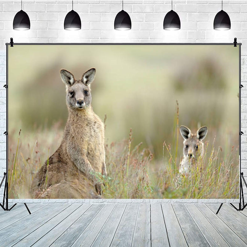 Eastern Grey Kangaroo Photography Backdrop Photographer Portrait Banner Photo Studio Photobooth Prop Photography Background Decoration Supplies 7×5Ft