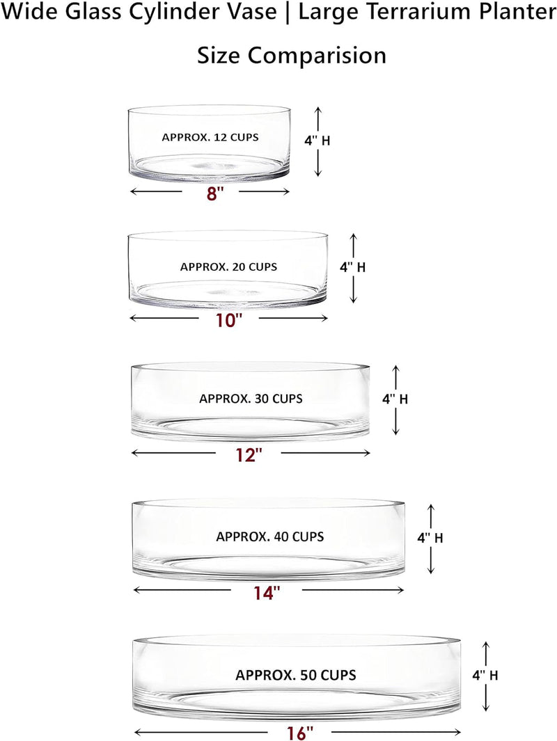 CYS EXCEL Wide Cylinder Clear Glass Vase (H:4" D:12") | Multiple Size Choices Glass Flower Vase Centerpieces | Large Terrarium Planter Vase