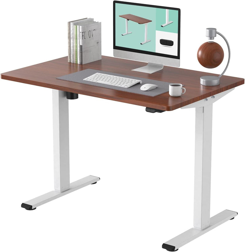 FLEXISPOT Adjustable Desk, Electric Standing Desk Sit Stand Desk Whole-Piece Desk Board for Home Office (EC1 Classic 48X24, White Frame+Rustic)