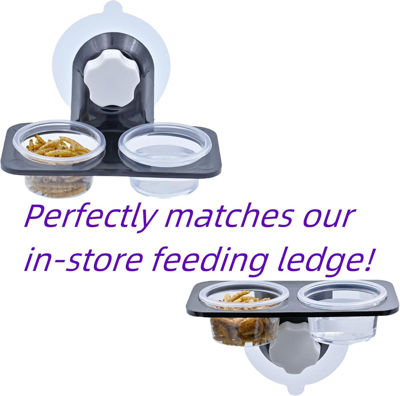 100Pcs 1Oz Crested Gecko Food and Water Feeding Cups, Reptile Feeder Bowls, for Lizard and Other Small Pet Ledge Accessories Supplies