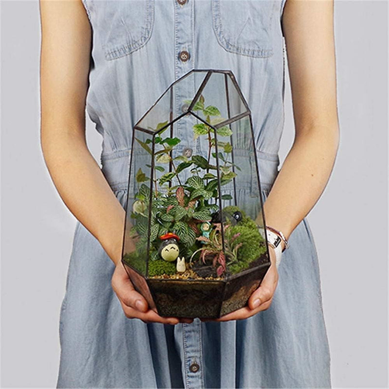 Geometric Plants Terrarium Glass Irregular Terrarium Planter Tabletop Black Opened Container Pot for Cacti Succulents Glass Planter Terrarium for Home, Garden, Office,6.5X5.7X9.8'' No Door