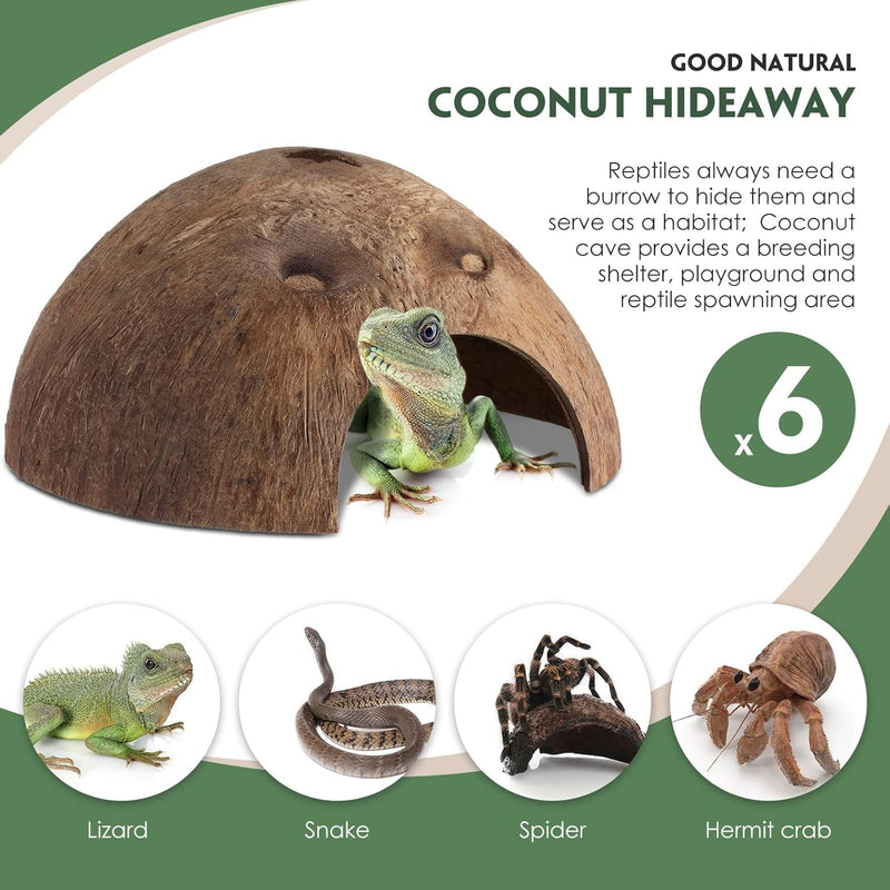 6 Pcs Coconut Shell Reptile Hideouts Hut Reptile Hides and Caves Coconut Hide for Reptile Small Animal Hide Cave Hut for Leopard Gecko Snake Aquarium Fish Lizard Hermit Crab Supplies House Accessories