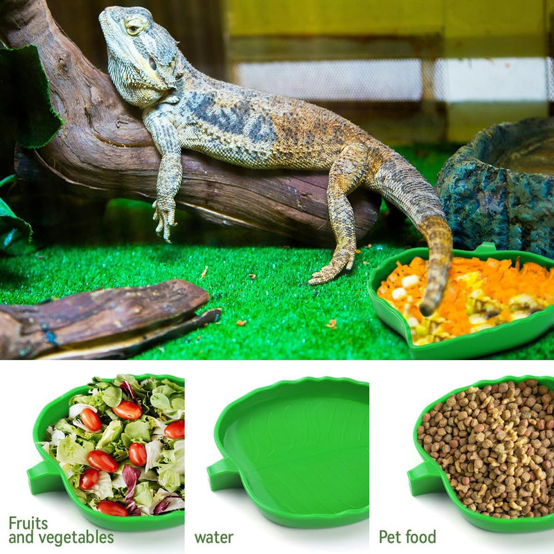 2 Pcs Leaf Reptile Food Water Bowl Plate Dish for Tortoise, Lizards, Young Bearded Dragons, Small Snakes, 2 Sizes