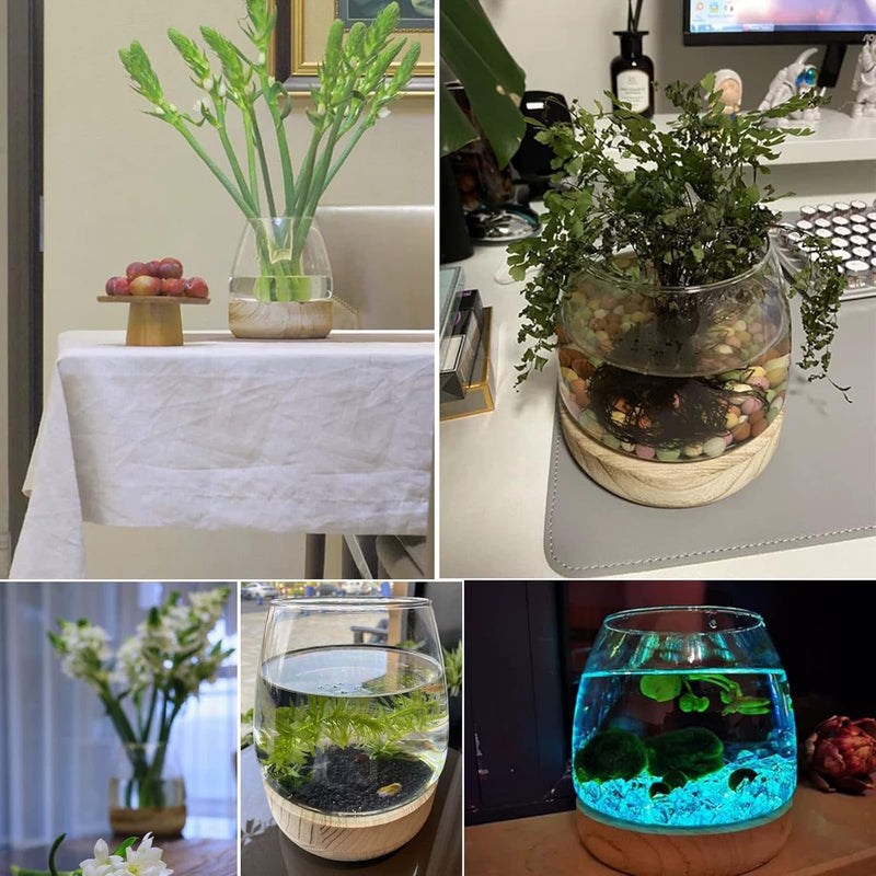 Fofetbfo Glass Hydroponic Plant Terrarium Unique Fish Bowl Aquarium with Wood Base Clear Glass Fish Tank Bowl for Plant and Betta Fish