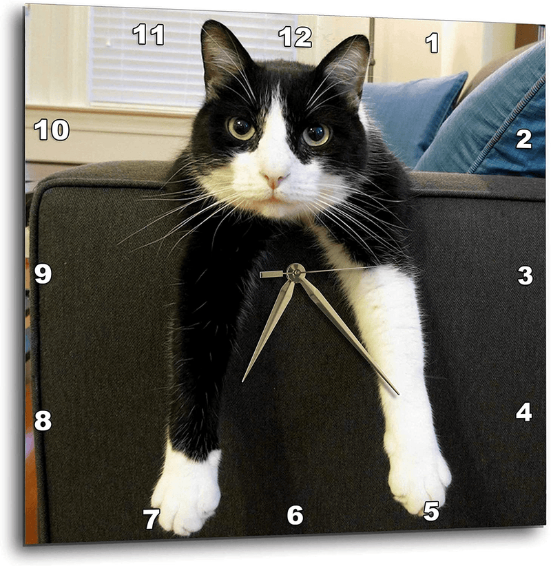 3dRose dpp_23450_2 Black and White Cat with Nothing To-Do Wall Clock, 13 by 13-Inch Home & Garden > Decor > Clocks > Wall Clocks 3dRose 15x15 Wall Clock  