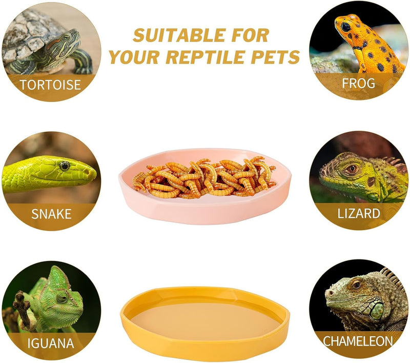 4 Pack Small Reptile Food Dish Bowl, Plastic Worm Water Dish Plate for Lizard Gecko Bearded Dragon Chameleon 4" W X 4" D X 0.5" H, Blue and Yellow