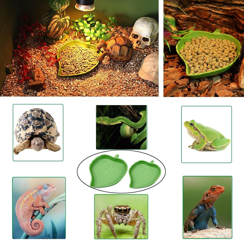 3Pcs Tortoise Food Dish with Ramp and Basking Platform Leaf Tortoise Water Food Bowls Reptile Water Dish Turtle Reptile Pool for Amphibians Brown