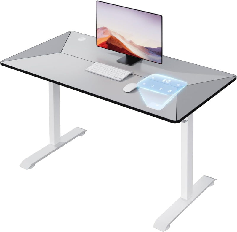 Home Office Height Adjustable Standing Desk (Grey, 55 * 28 Inch)