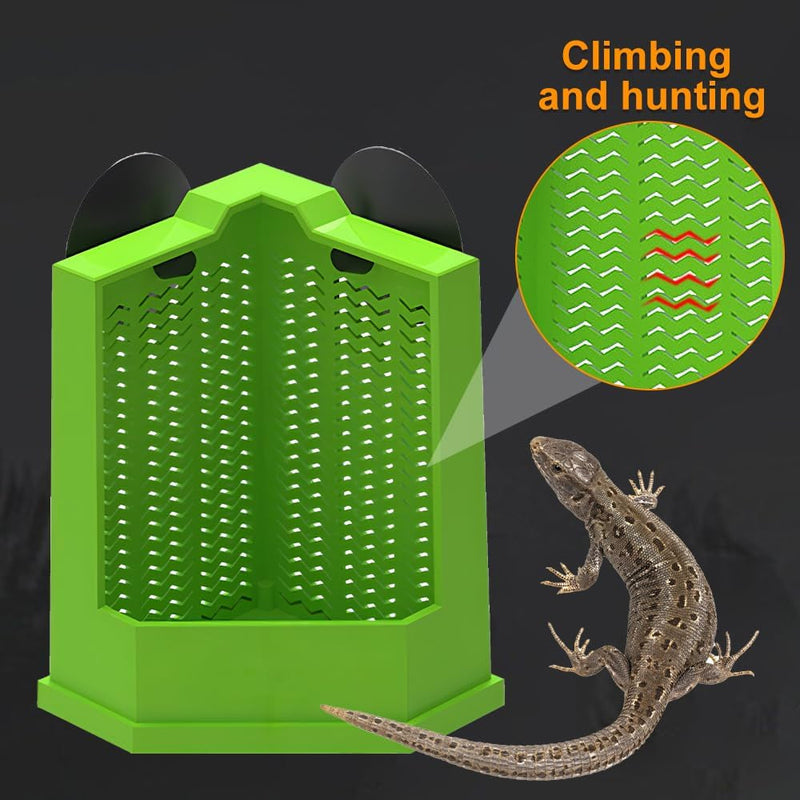 Bearded Dragon Feeder, Corner Reptile Feeder Box Wall-Mounted Terrarium Feeder with Suction Cups for Lizard, Iguana, Gecko,Bearded Dragon