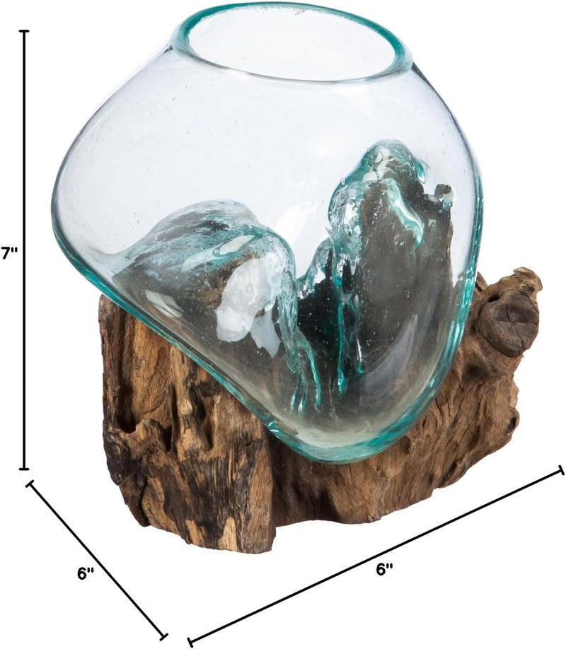 Cape Craftsmen 7-Inches Tall Hand-Blown Blue Tinted Bubble Glass on Natural Teak Driftwood Terrarium | Home Décor Indoor Planter with Stand | Pot for Succulent and Plants