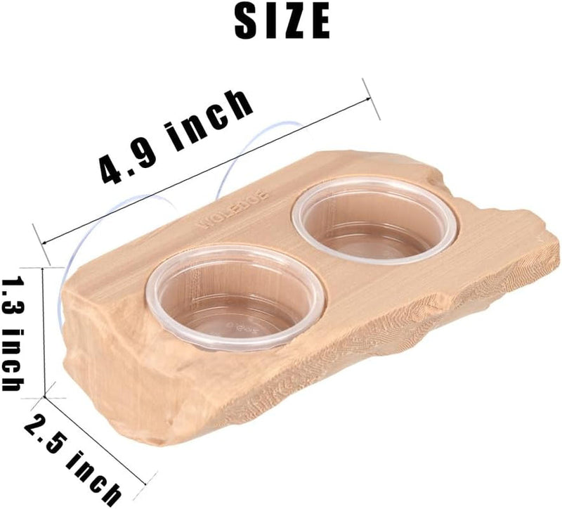 Crested Gecko Feeding Ledge with 10Pcs 0.5Oz Food Dish, Suction Cup Reptile Feeder Fit Chameleon Lguana Lizards