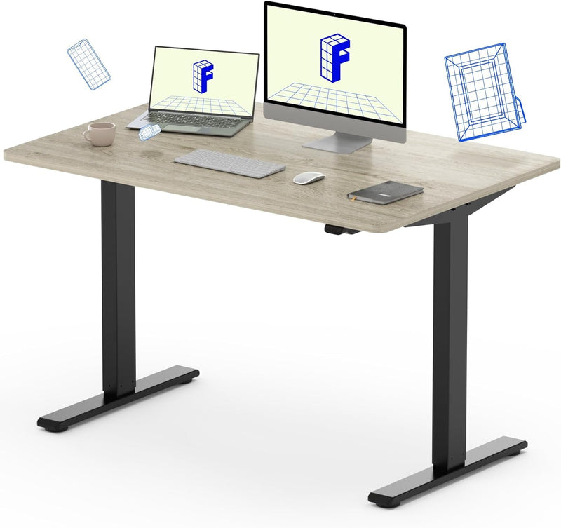 FLEXISPOT EC1 Essential Adjustable Desk, Electric Standing Desk Sit Stand Desk (48X24 Inch, Gray Frame+Marble Grey)