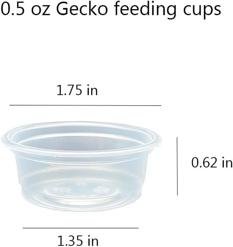 100 Pcs Small Gecko Food and Water Cups Plastic Reptile Feeding Bowls Ledge Accessories for Crested Gecko Lizards Small Pets, 0.5 Oz