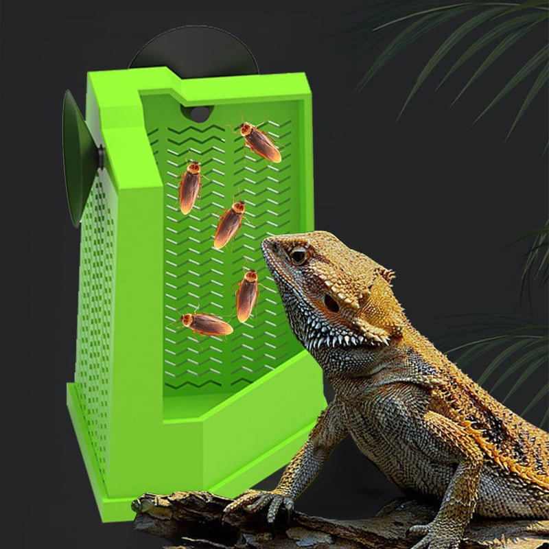 Bearded Dragon Feeder, Corner Reptile Feeder Box Wall-Mounted Terrarium Feeder with Suction Cups for Lizard, Iguana, Gecko,Bearded Dragon