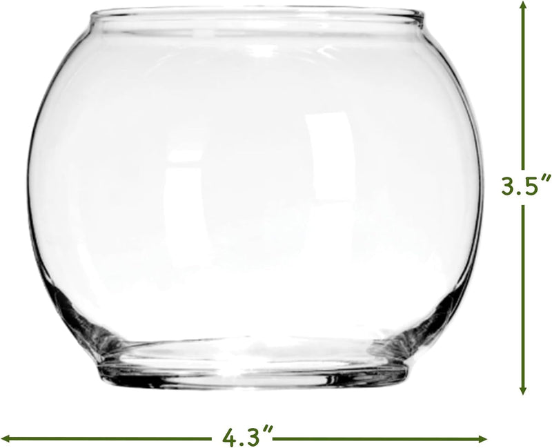 Cute Farms Glass Terrarium Kit | Just Add Your Own Plants (Two Glass Bowls)