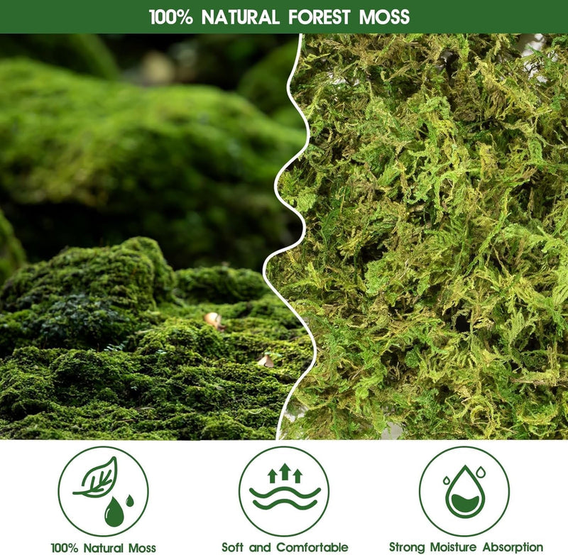 50QT Premium Sphagnum Moss for Reptiles- 14OZ Natural Moss Reptile Moss Bedding for Terrarium, Hatching, Forest Sphagnum Moss Reptile Substrate for Snakes, Gecko, Turtles, Frogs, Leopard