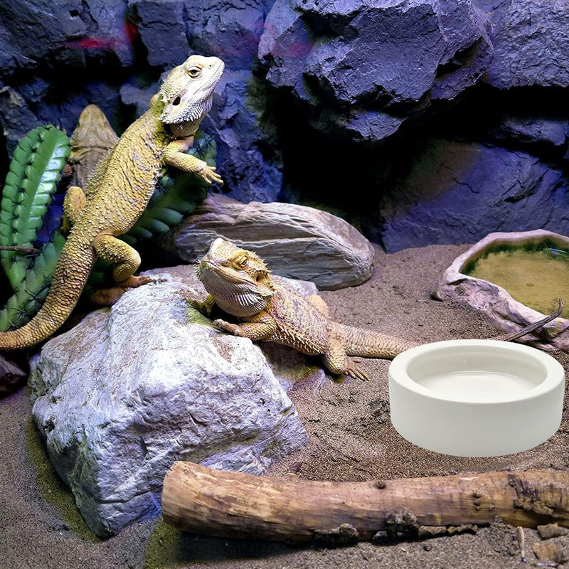 2 Pcs Reptile Food Bowl Ceramic Water Feeder Bowls Anti- Escape Mini Reptile Feeder for Lizard, Gecko Etc, Round