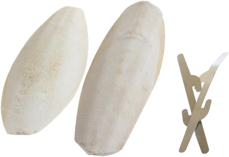 Emours Natural Cuttlefish Bone for Reptiles, Tortoises, Tortoise, Snails, Birds and Small Animals, 4-5 Inch, Twin Pack